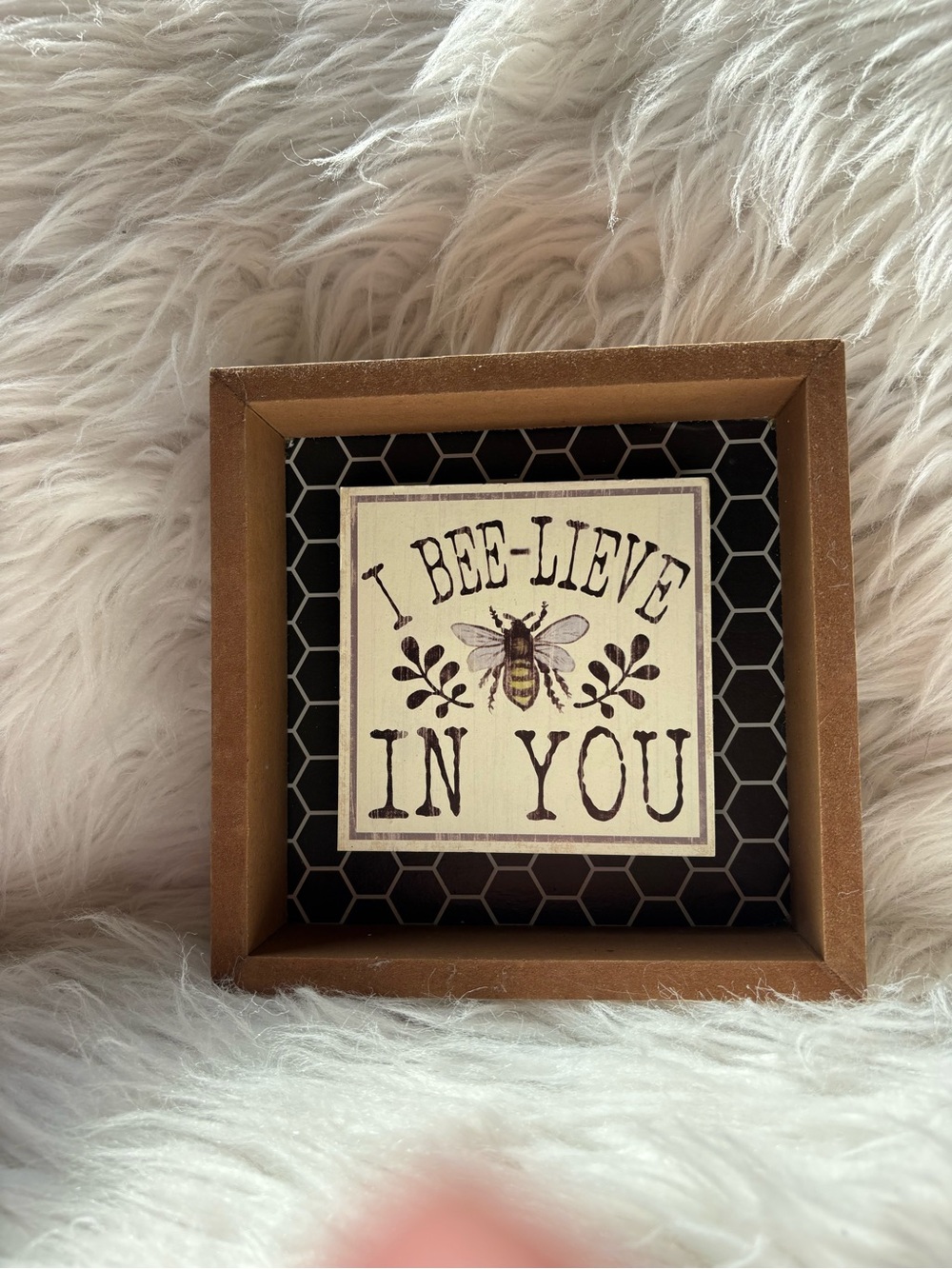 Rustic Brown 'I Bee-lieve In You' Wall Accent